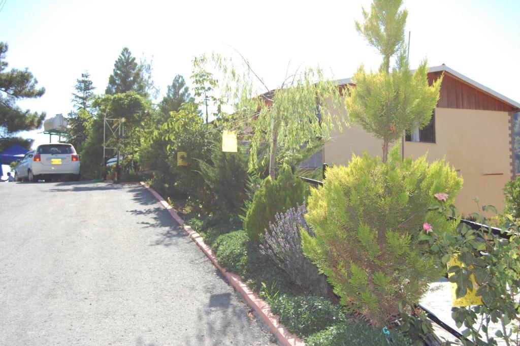 Nightingale Hotel Platres Exterior photo